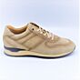 Greve Sneaker Fury 7243 Beige Suede